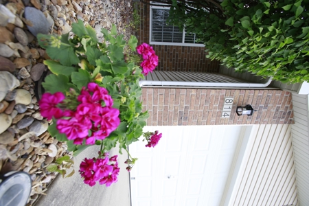 Home for sale in Raymore Missouri - image 30