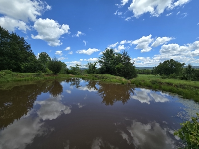 Country Home and 40 Acres – Pasture, Woods, Ponds & Scenic Views - image 17