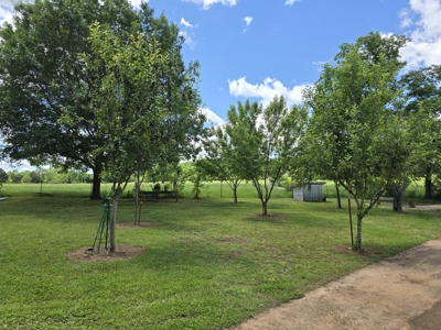 Country Home and 40 Acres – Pasture, Woods, Ponds & Scenic Views - image 19