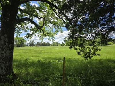 Country Home and 40 Acres – Pasture, Woods, Ponds & Scenic Views - image 12