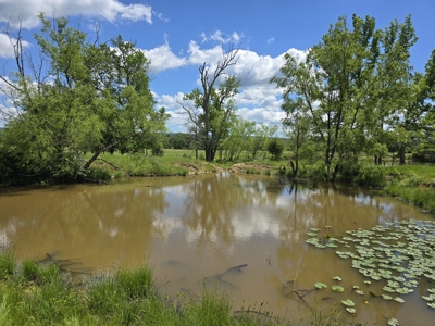 Country Home and 40 Acres – Pasture, Woods, Ponds & Scenic Views - image 14