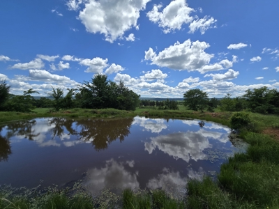 Country Home and 40 Acres – Pasture, Woods, Ponds & Scenic Views - image 16