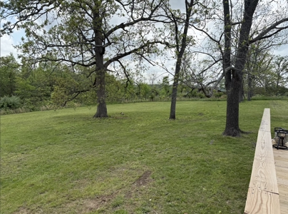 Starter Home For Sale In Birch Tree Missouri - image 8