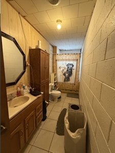 Starter Home For Sale In Birch Tree Missouri - image 4