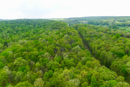 Scenic Ozark Eleven Point River Rv Park & Campground For Sale! - image 27