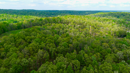 Scenic Ozark Eleven Point River Rv Park & Campground For Sale! - image 26
