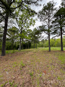 Scenic Ozark Eleven Point River Rv Park & Campground For Sale! - image 8