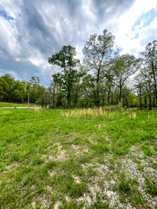 Scenic Ozark Eleven Point River Rv Park & Campground For Sale! - image 10