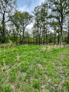 Scenic Ozark Eleven Point River Rv Park & Campground For Sale! - image 6