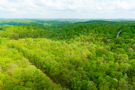 Scenic Ozark Eleven Point River Rv Park & Campground For Sale! - image 24