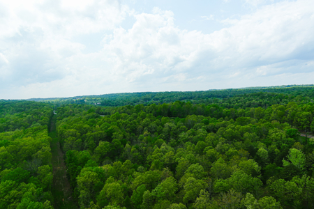 Scenic Ozark Eleven Point River Rv Park & Campground For Sale! - image 19