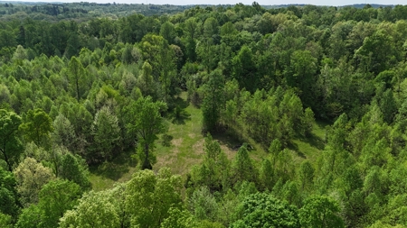 25 Acres in Dubois County- Borders Patoka Lake - image 3