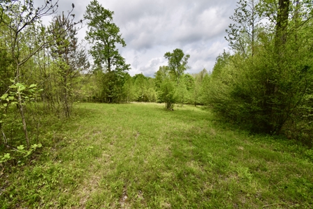 25 Acres in Dubois County- Borders Patoka Lake - image 9