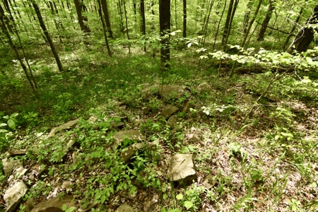 25 Acres in Dubois County- Borders Patoka Lake - image 16
