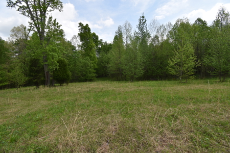 25 Acres in Dubois County- Borders Patoka Lake - image 17