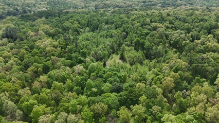 25 Acres in Dubois County- Borders Patoka Lake - image 5