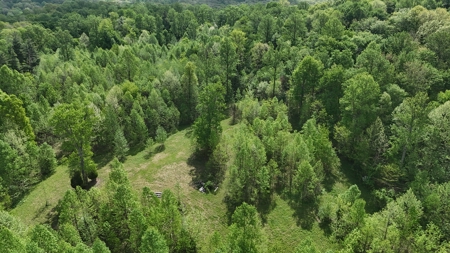 25 Acres in Dubois County- Borders Patoka Lake - image 2
