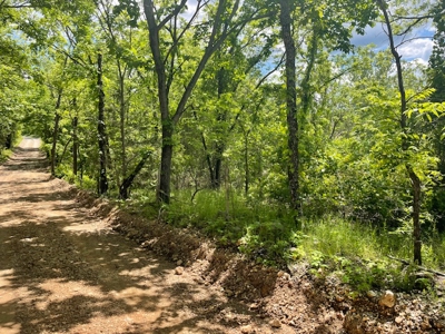 Spring Fed Pond On 2.5 Acres Near Bull Shoals Lake - image 4