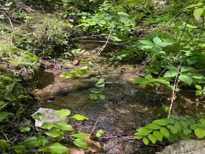 Spring Fed Pond On 2.5 Acres Near Bull Shoals Lake - image 2