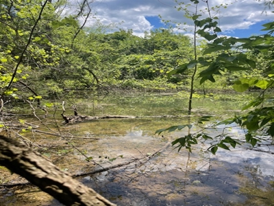 Spring Fed Pond On 2.5 Acres Near Bull Shoals Lake - image 1