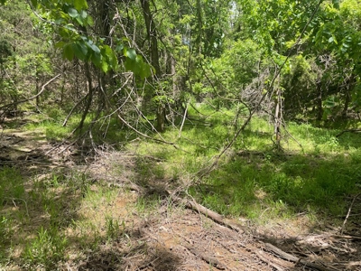 Spring Fed Pond On 2.5 Acres Near Bull Shoals Lake - image 6