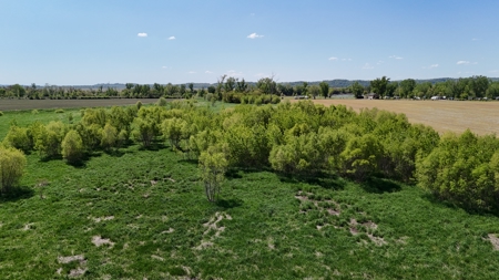 16+/- Acre Recreational Land in Andrew County, MO - image 5
