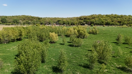 16+/- Acre Recreational Land in Andrew County, MO - image 4