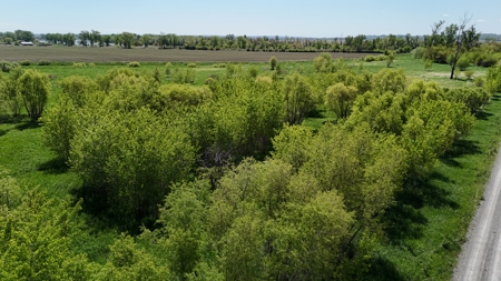 16+/- Acre Recreational Land in Andrew County, MO - image 7