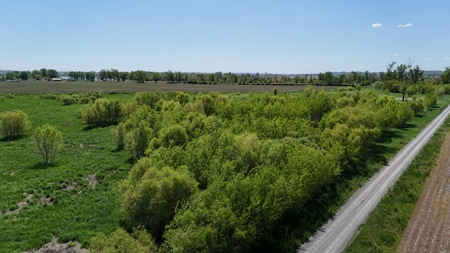 16+/- Acre Recreational Land in Andrew County, MO - image 6