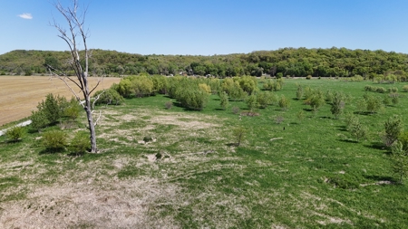 16+/- Acre Recreational Land in Andrew County, MO - image 3