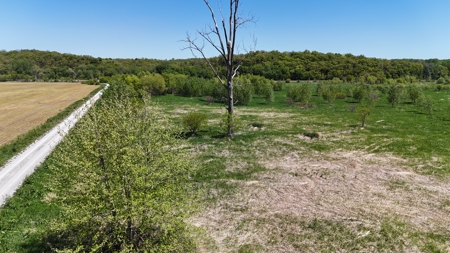 16+/- Acre Recreational Land in Andrew County, MO - image 2