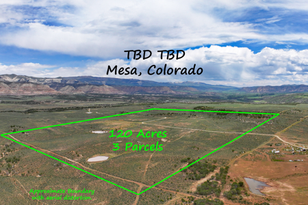 Vacant Land For Sale on Western Slope of Colorado - image 5
