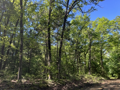 10 +/- Acres Off-Grid Retreat - Kiamichi Wilderness (Daisy Side) - image 9