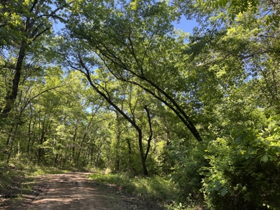 10 +/- Acres Off-Grid Retreat - Kiamichi Wilderness (Daisy Side) - image 8