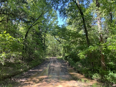 10 +/- Acres Off-Grid Retreat - Kiamichi Wilderness (Daisy Side) - image 7