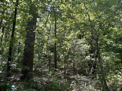 10 +/- Acres Off-Grid Retreat - Kiamichi Wilderness (Daisy Side) - image 3