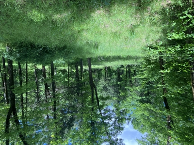Recreational, hunting, off grid land bordering National Forest - image 6