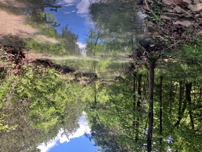 Recreational, hunting, off grid land bordering National Forest - image 1