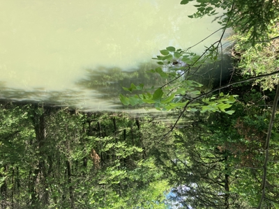 Recreational, hunting, off grid land bordering National Forest - image 14