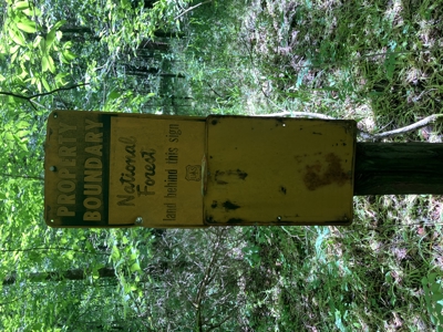 Recreational, hunting, off grid land bordering National Forest - image 12
