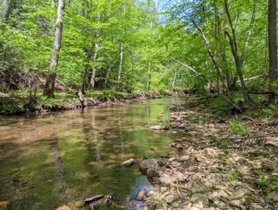 220.94 Acres Located In Patrick County, Va - image 22
