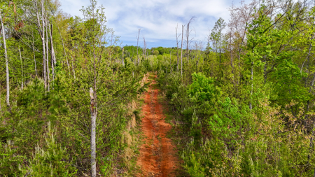 220.94 Acres Located In Patrick County, Va - image 7