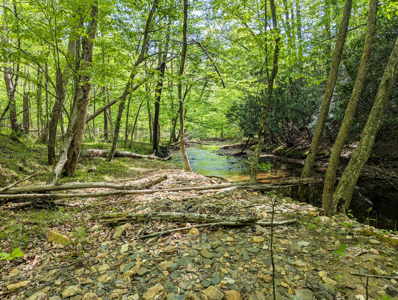 220.94 Acres Located In Patrick County, Va - image 21