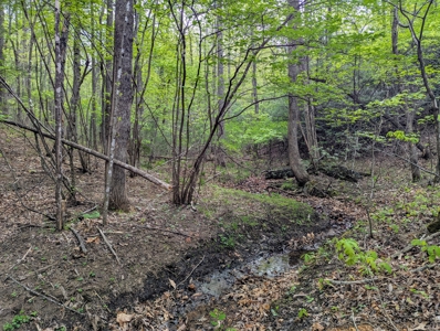 220.94 Acres Located In Patrick County, Va - image 18
