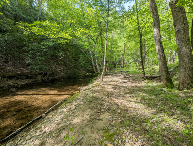 220.94 Acres Located In Patrick County, Va - image 15