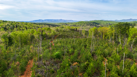 220.94 Acres Located In Patrick County, Va - image 12