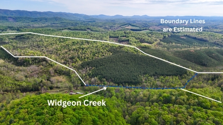 220.94 Acres Located In Patrick County, Va - image 1