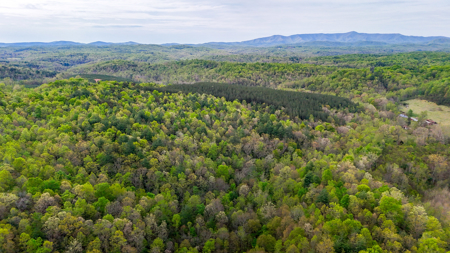 220.94 Acres Located In Patrick County, Va - image 3