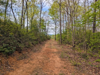 220.94 Acres Located In Patrick County, Va - image 6