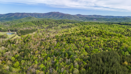 220.94 Acres Located In Patrick County, Va - image 11